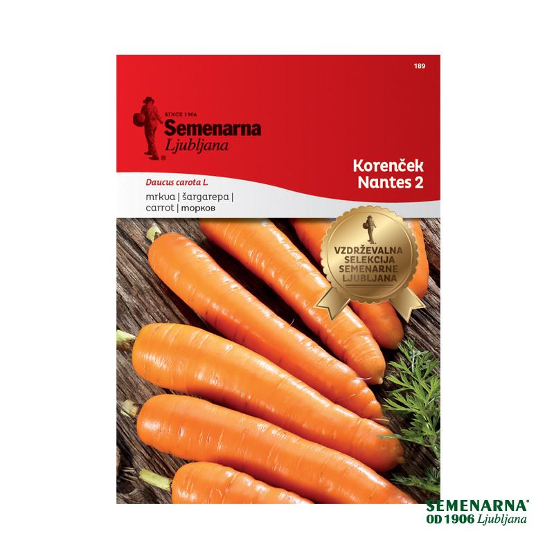 Korenček Nantes 2 189 Semenarna 