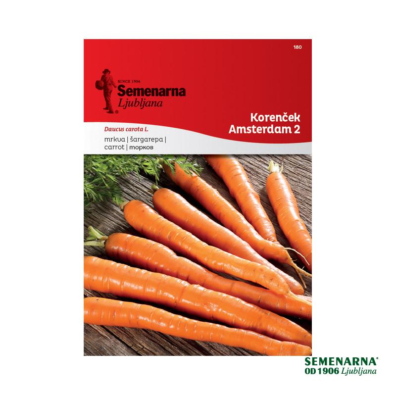 Korenček Amsterdam 2 180 Semenarna 