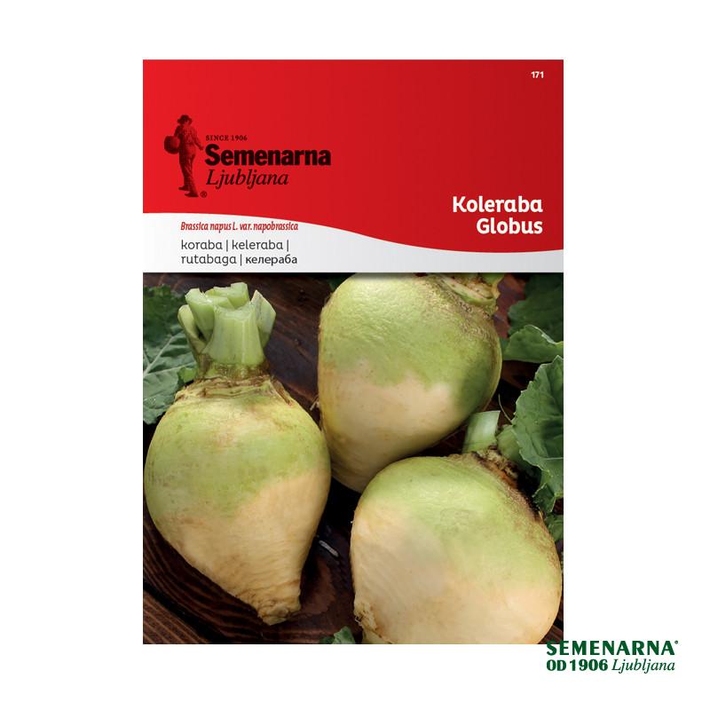 Koleraba Globus 171 Semenarna 