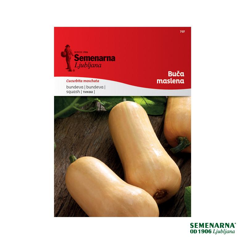 Buča Maslena (Butternut) 707 Semenarna 
