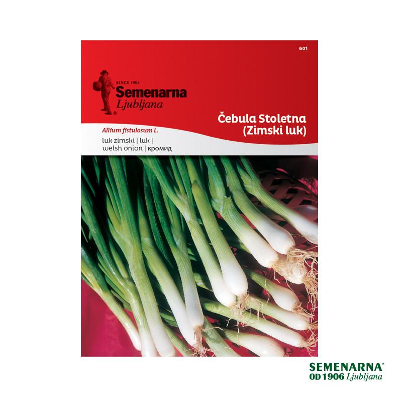 Čebula Stoletna (Zimski Luk) 601 Semenarna 