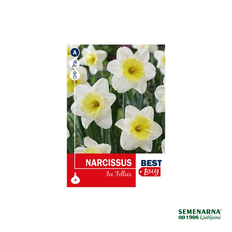 Super Best Buy Narcissus Ice Follies 4/1 