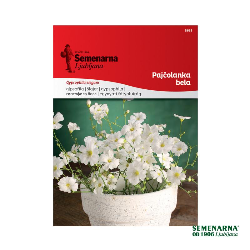 Pajčolanka Bela 3665 Semenarna 