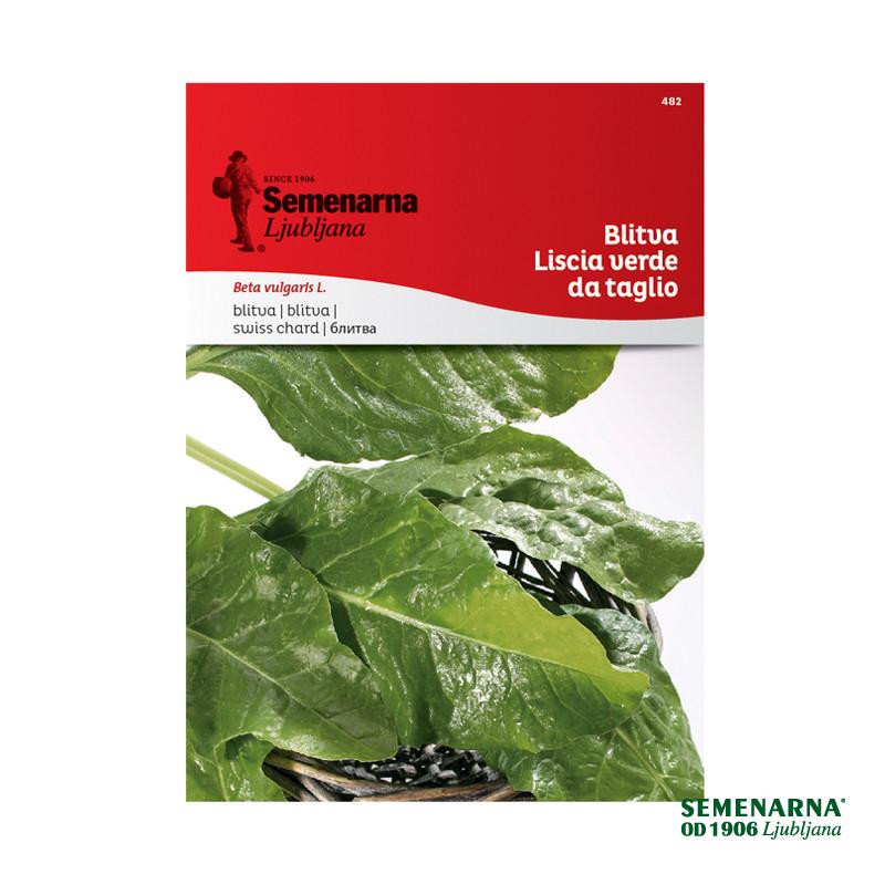 Mangold Verde Da Taglio 482 Semenarna 
