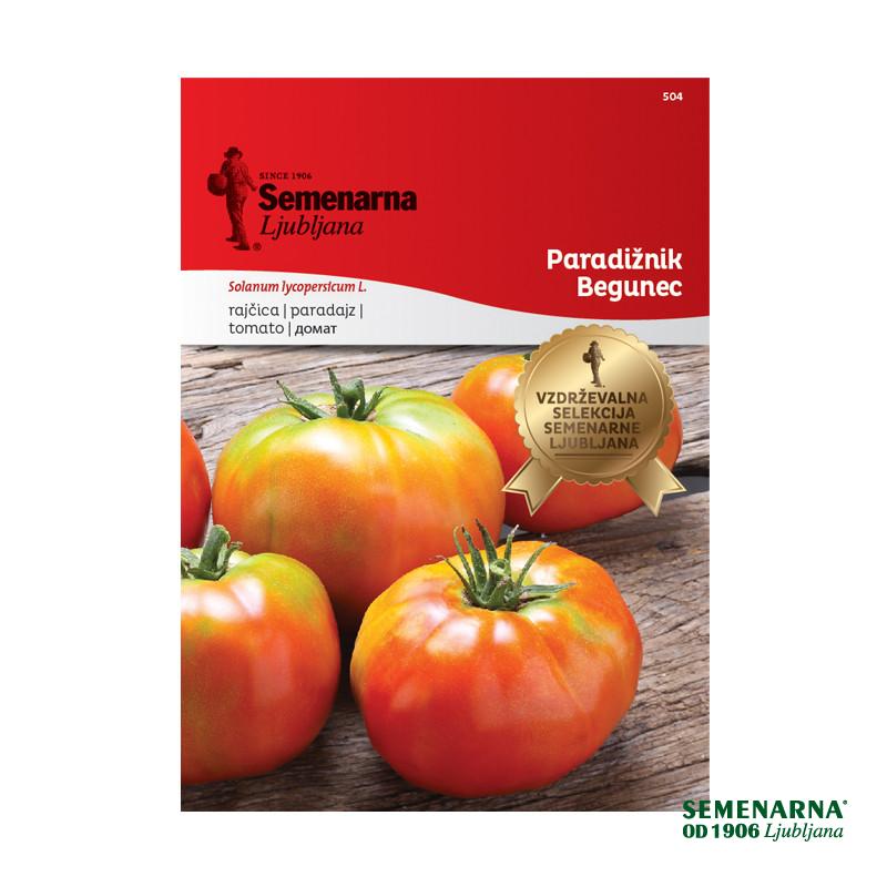 PARADIŽNIK BEGUNEC 504 Semenarna 
