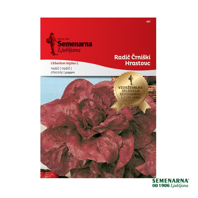 Radič Črniški - Hrastovc 427 Semenarna 