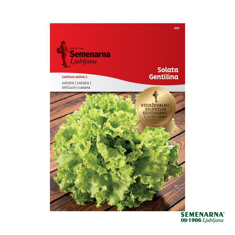 Solata Gentilina 403 Semenarna 