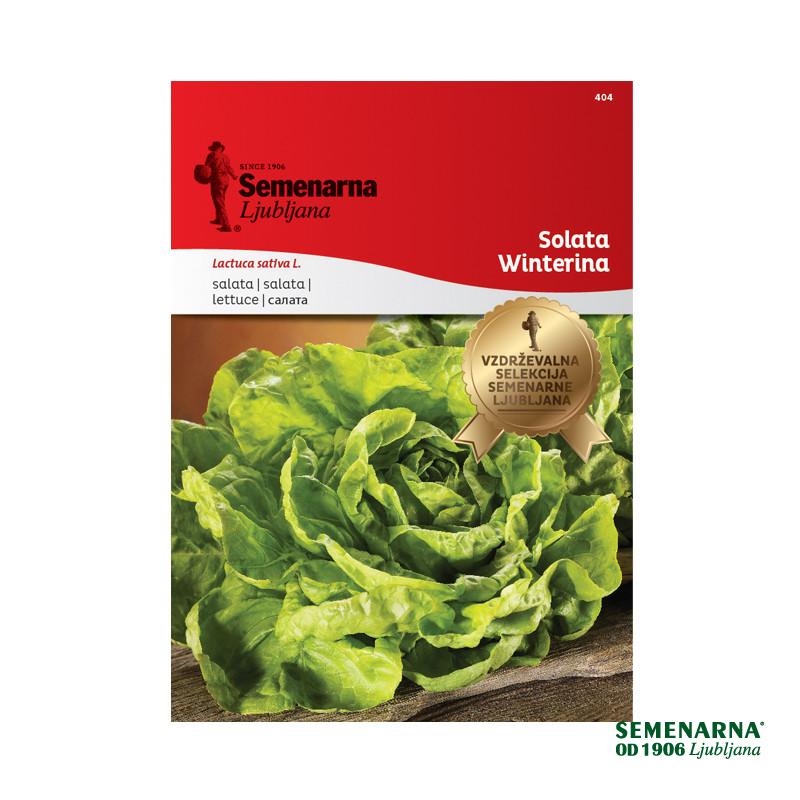 Solata Winterina 404 Semenarna 