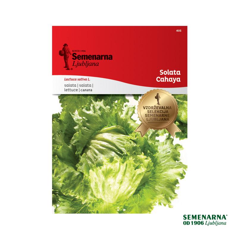 SOLATA CAHAYA 405 Semenarna 