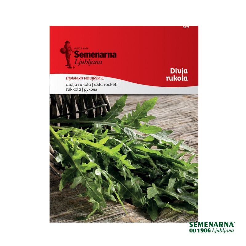 Divja Rukola 1071 Semenarna 