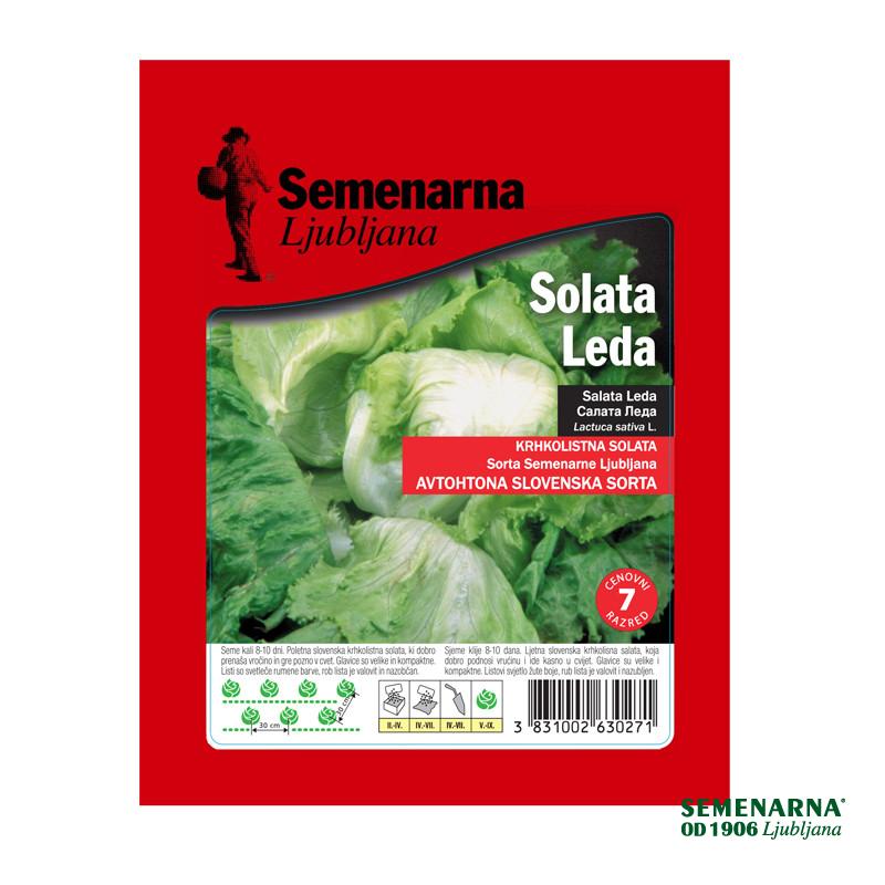 Solata Leda 25 g Semenarna 