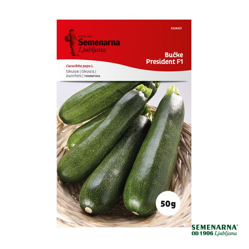 Bučke President F1 50 g Semenarna 