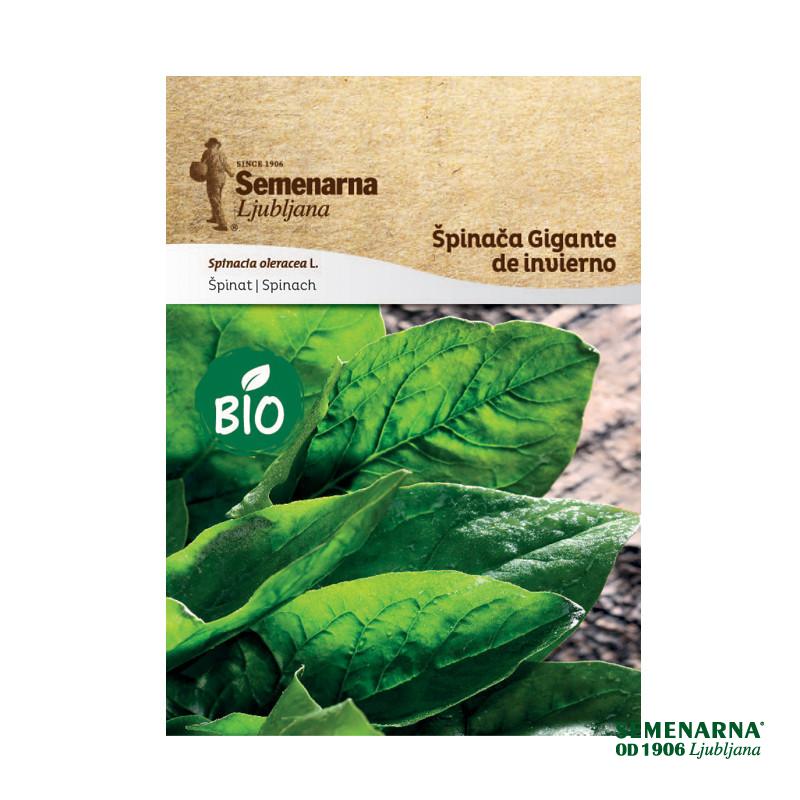 Bio Špinača Gigante De Invierno 467 Semenarna 
