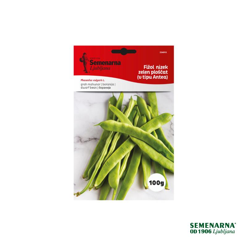 FIŽOL TIP ANTEA 100 g Semenarna 