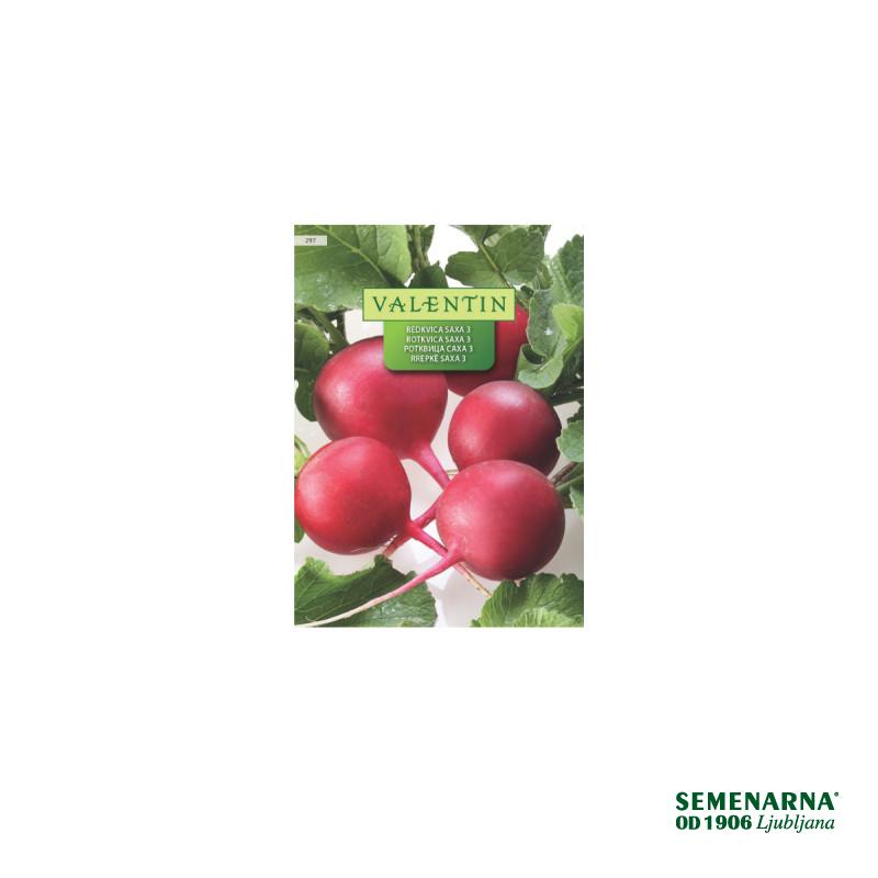 Redkvica Saxa 296 Valentin 
