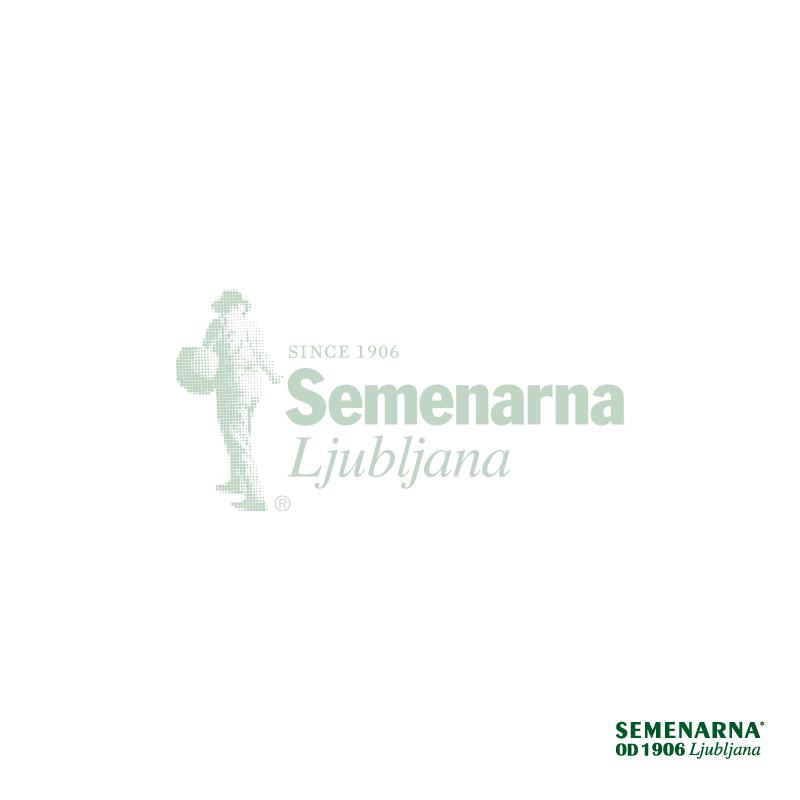 Lestvica-opora cvetlična 55x30 